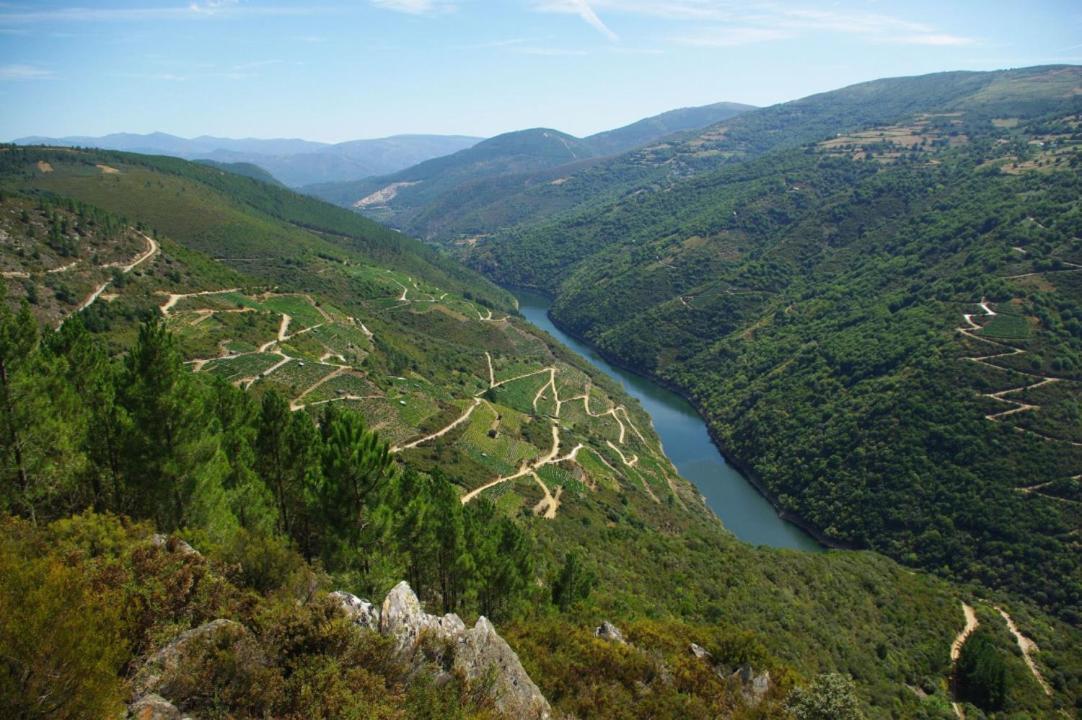 Apartamento Felicitas En La Casa De Cobos, Ribeira Sacra Puebla Del Brollon エクステリア 写真