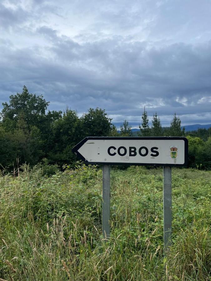 Apartamento Felicitas En La Casa De Cobos, Ribeira Sacra Puebla Del Brollon エクステリア 写真