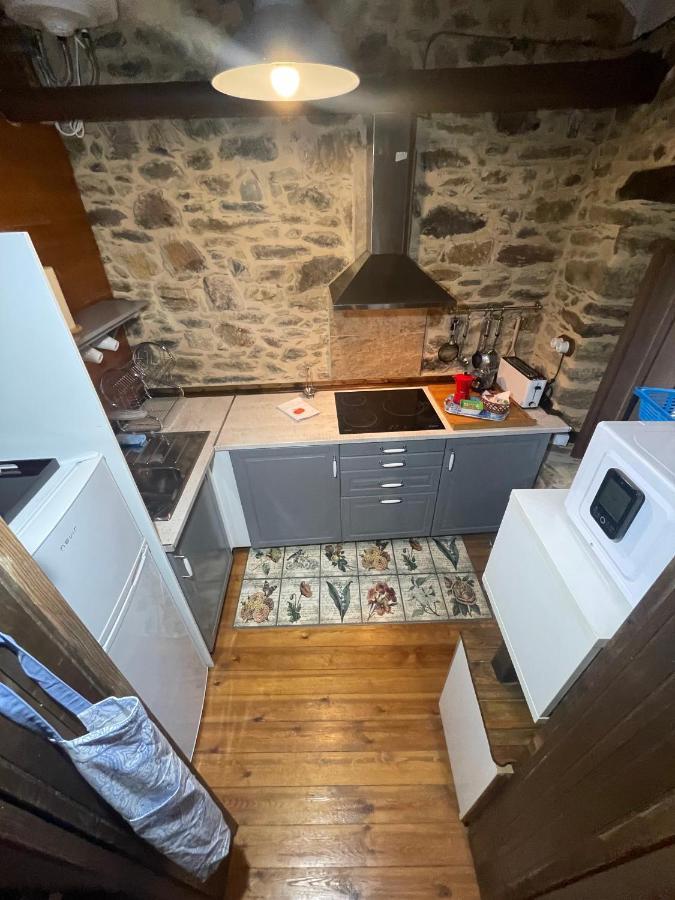 Apartamento Felicitas En La Casa De Cobos, Ribeira Sacra Puebla Del Brollon エクステリア 写真